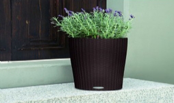 蘇州創景園藝有限公司