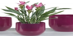 德國進(jìn)口高檔陶瓷花盆雪瑞奇820系列花盆