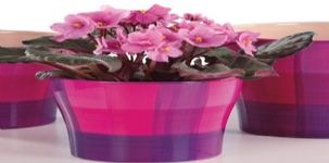 德國進(jìn)口高檔套盆陶瓷花盆雪瑞奇808系列花盆