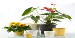 德國進口高檔陶制套盆SK達拉斯啞光